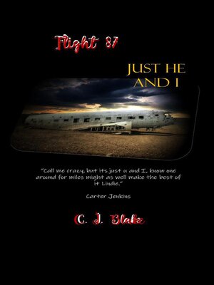 cover image of Flight 87